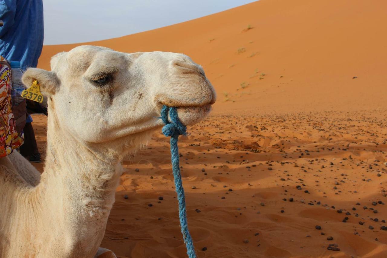 Riad Hotel Les Flamants Merzouga Luaran gambar
